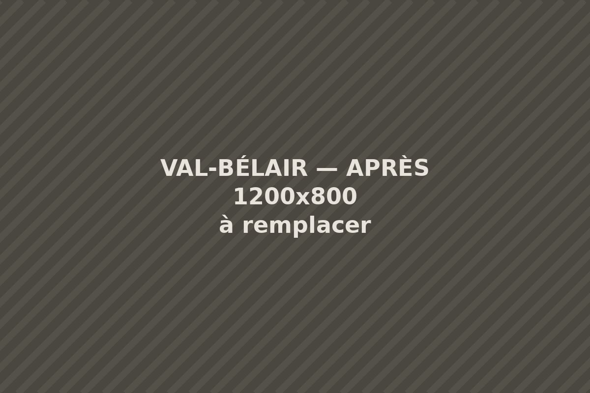 Même entrée refaite en pavé-uni